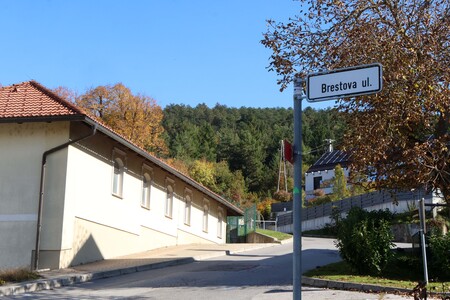 BRESTOVA ULICA CERKNICA 06 FOTO LJUBO VUKELIČ